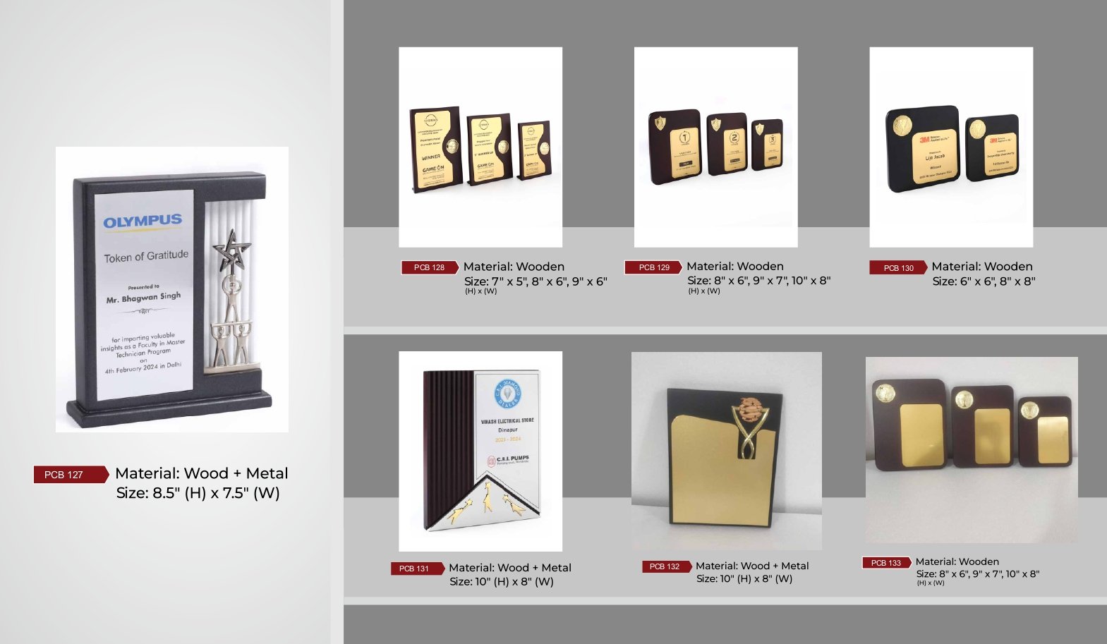 Trophies catalogue _page-0020