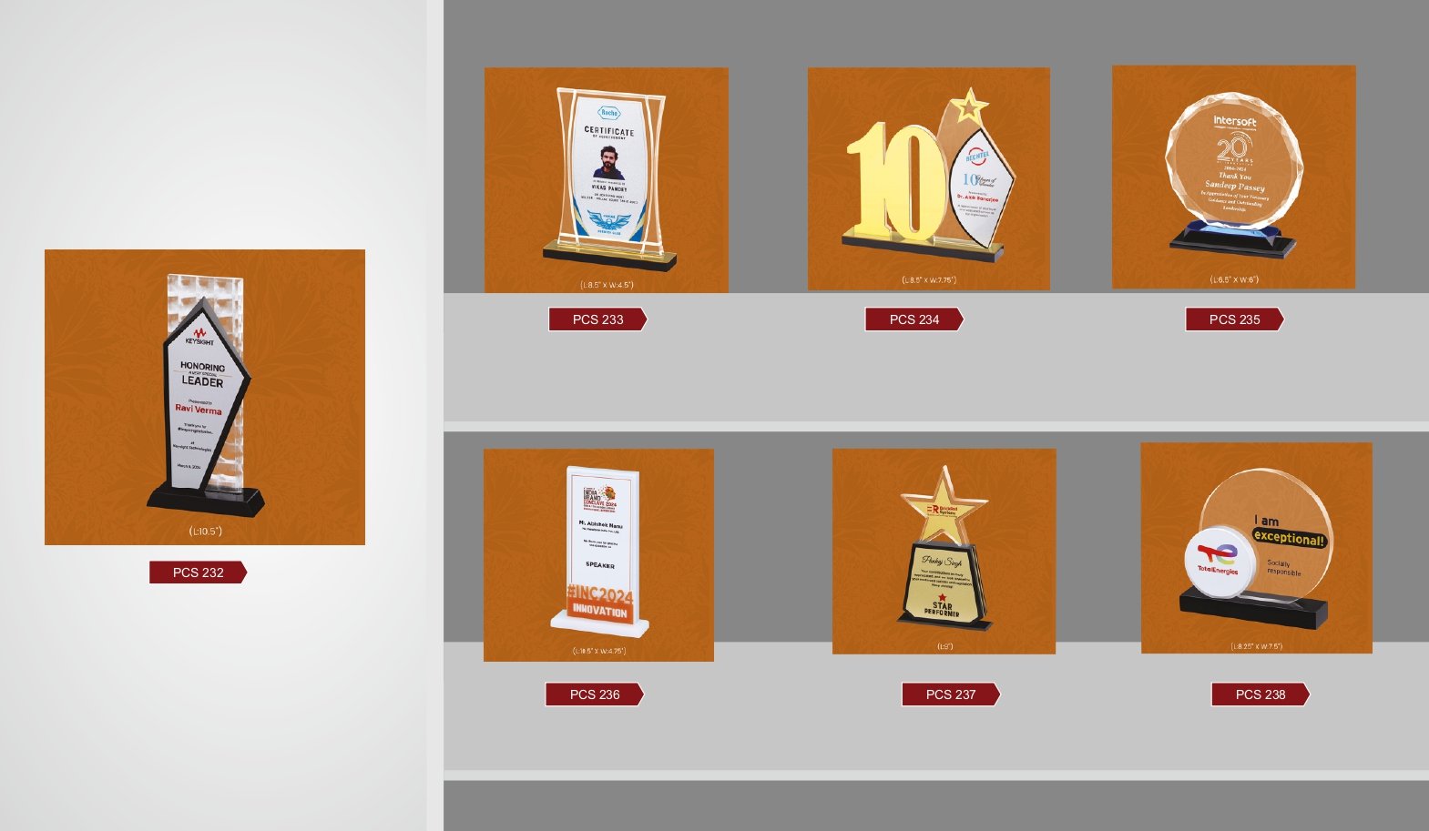 Trophies catalogue _page-0035